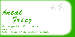 antal fricz business card